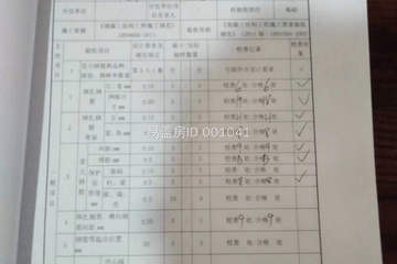 河南省駐馬店市西平縣陳偉別墅工地直播