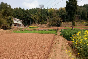 四川綿陽涂杰別墅（百城計劃）工地直播