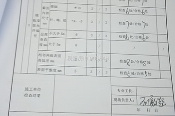 武漢新洲李本紅別墅（百城計(jì)劃）工地直播