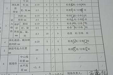 武漢新洲李本紅別墅（百城計(jì)劃）工地直播
