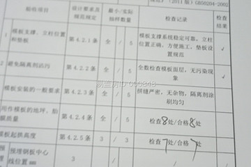 武漢新洲李本紅別墅（百城計(jì)劃）工地直播