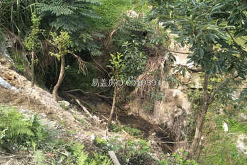 福建寧德張孝添別墅工地直播