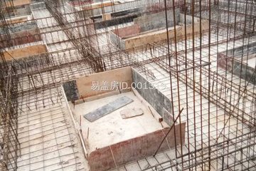 廣東湛江雷先生別墅工地直播