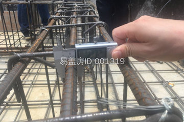 廣東湛江雷先生別墅工地直播