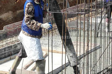 廣東湛江雷先生別墅工地直播