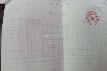 湖北襄陽施先生別墅（百城計劃）工地直播