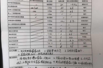 湖北襄陽施先生別墅（百城計劃）工地直播