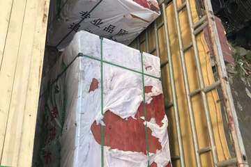 海南瓊海俞文平別墅工地直播