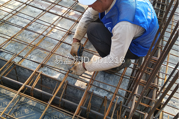 湖北咸寧肖秀云別墅（百城計劃）工地直播