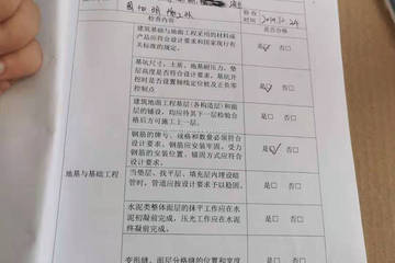 江蘇南京劉棟棟別墅（二）工地直播