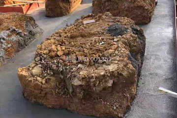 湖南永州陽滿運別墅工地直播