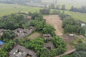 四川成都游丹別墅工地直播