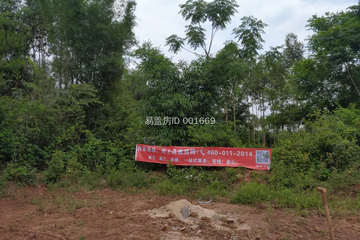 廣東肇慶李文研別墅工地直播