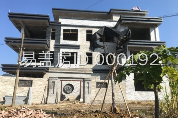 廣東河源謝金海別墅設計工地直播