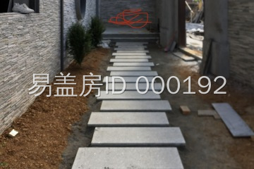 廣東河源謝金海別墅設計工地直播