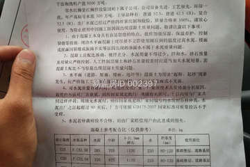 重慶渝北陳秀琴別墅項目工地直播