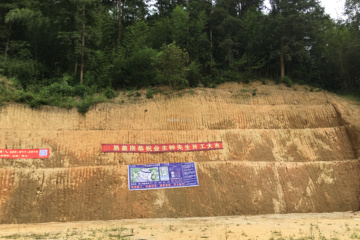 廣東河源鐘先生別墅工地直播