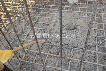 廣東河源鐘先生別墅工地直播