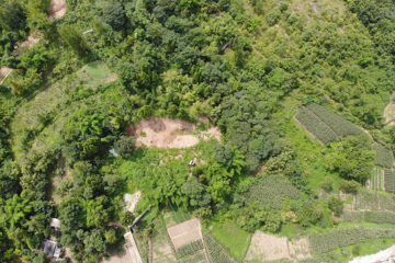 四川綿陽(yáng)劉文武別墅工地直播