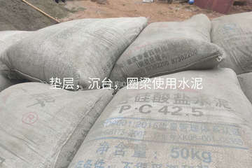 重慶銅梁張灜龍別墅工地直播