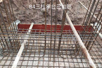 重慶銅梁張灜龍別墅工地直播