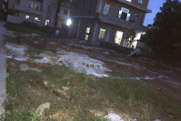 廣東湛江李東杰別墅工地直播