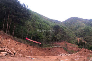 陜西安康駱青山別墅工地直播