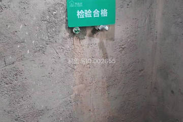 河南信陽董維順別墅（室內）工地直播