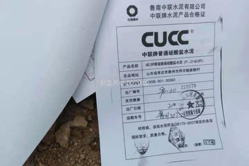 山東棗莊謝晉寶別墅工地直播