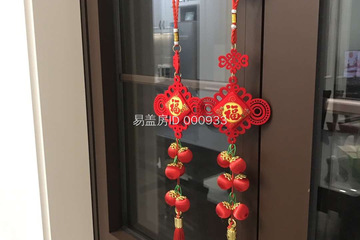 江蘇南通顧春翔別墅（圖紙修改百城計劃） 工地直播