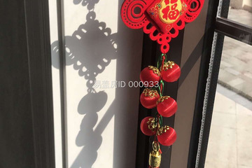 江蘇南通顧春翔別墅（圖紙修改百城計劃） 工地直播